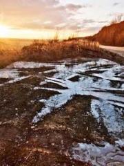 My pets are all amaz