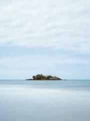 Reborn in the Apocal