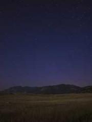 The Favorite Concubi