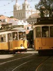 lt;Gingerly, Shen Qi