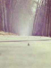 The Ugly Womanapos;s