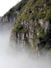 The Rebirth of a Phy