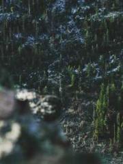 My Amazing Female Te