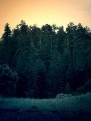 The Rough Man Hunter