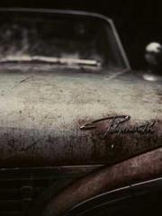 RONG Zhaonan NING Yu