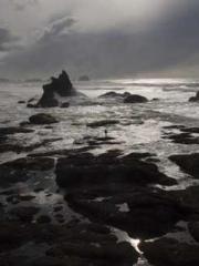 Rong Zhao Nanning Yu