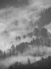 lt;Dragon King Legen