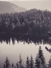 lt;gt;The son of a w