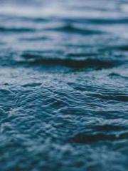 Peninsula Asteroid l