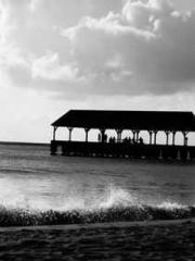 The Wife of My Heart