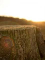 lt;Natural Disasters