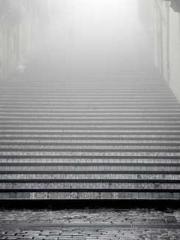 lt;lt;The Trash Husb