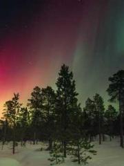 Wine, sex, money and