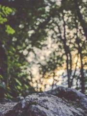 lt;Honor calls for N