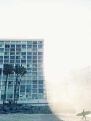 The Daring Wife of a