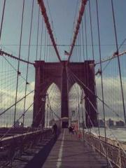 lt;lt;lt;Visionary S