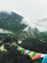 The Imperial Concubi