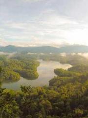 A Second Marriage Mo