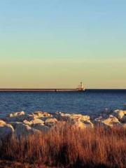 Shocking! This prota